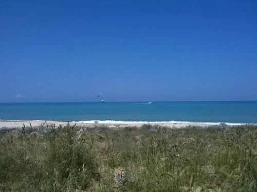 thebeach.jpg