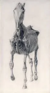 stubbs corpsre.jpg