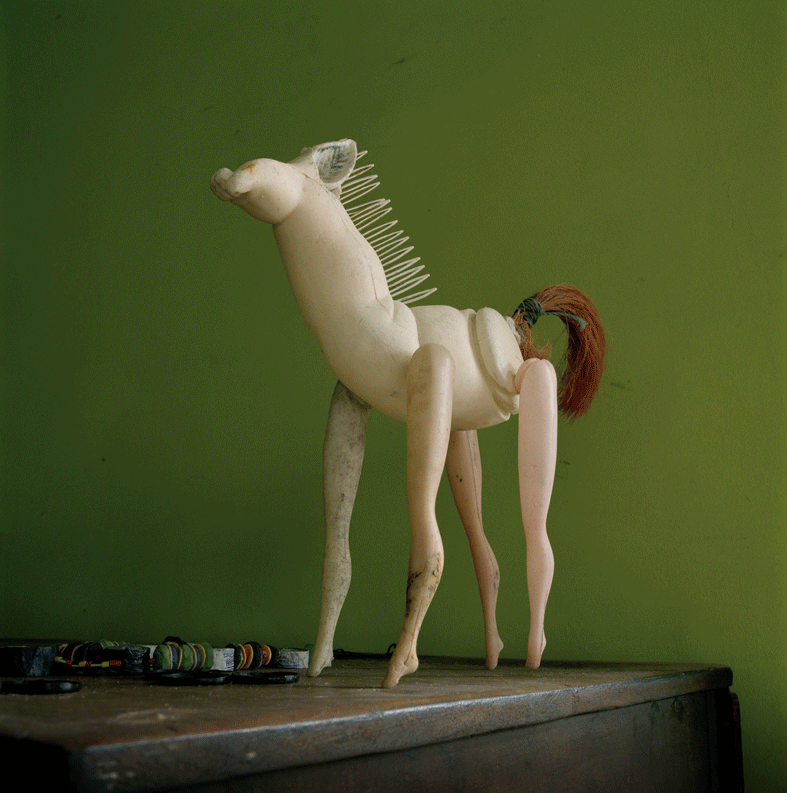 Horse by Monique Fagan Photo by Knut Egil Wang