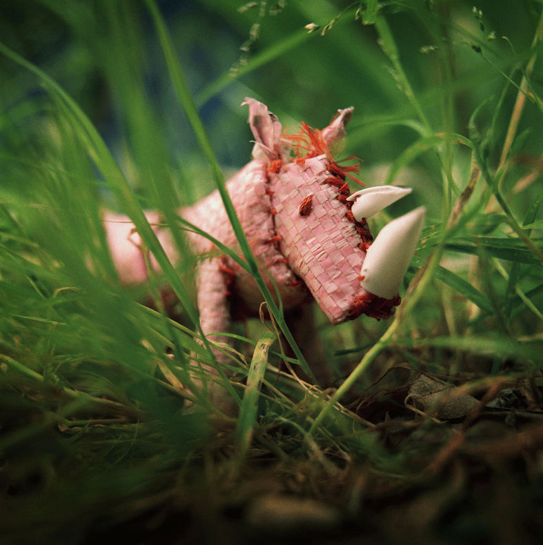 Rhino by Monique Fagan Photo by Knut Egil Wang