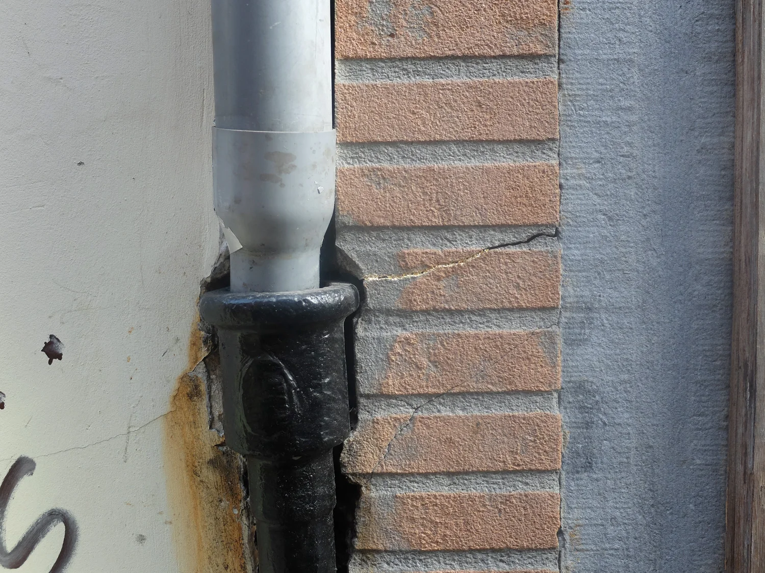 DSCF5414.jpg