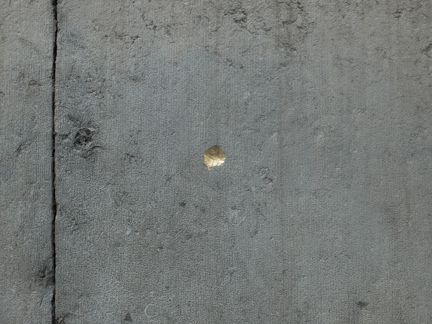DSCF5467.jpg