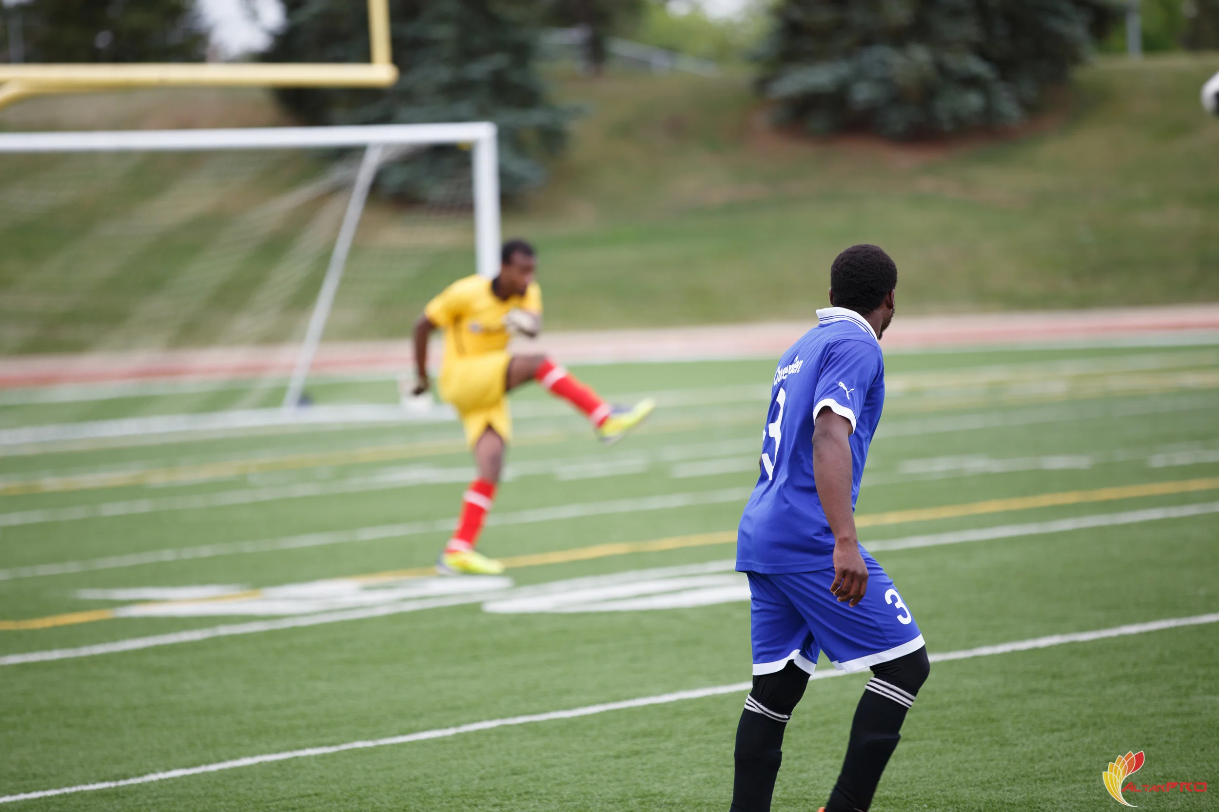 _MG_0906.jpg