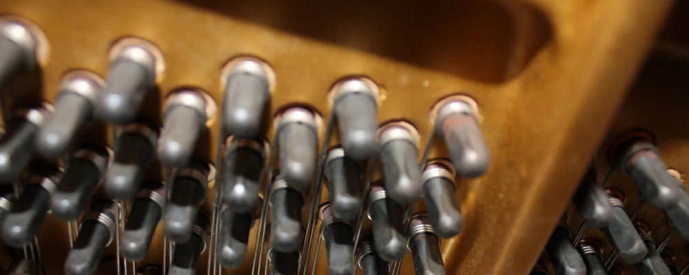 TuningPegs2.jpg
