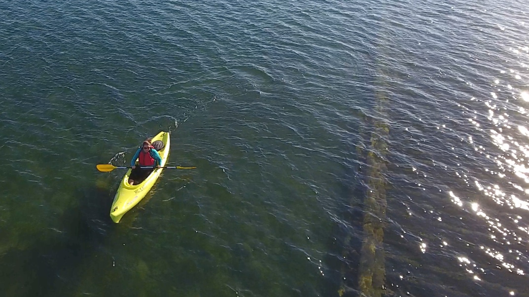 Rental Rates — Harbor Beach Kayak