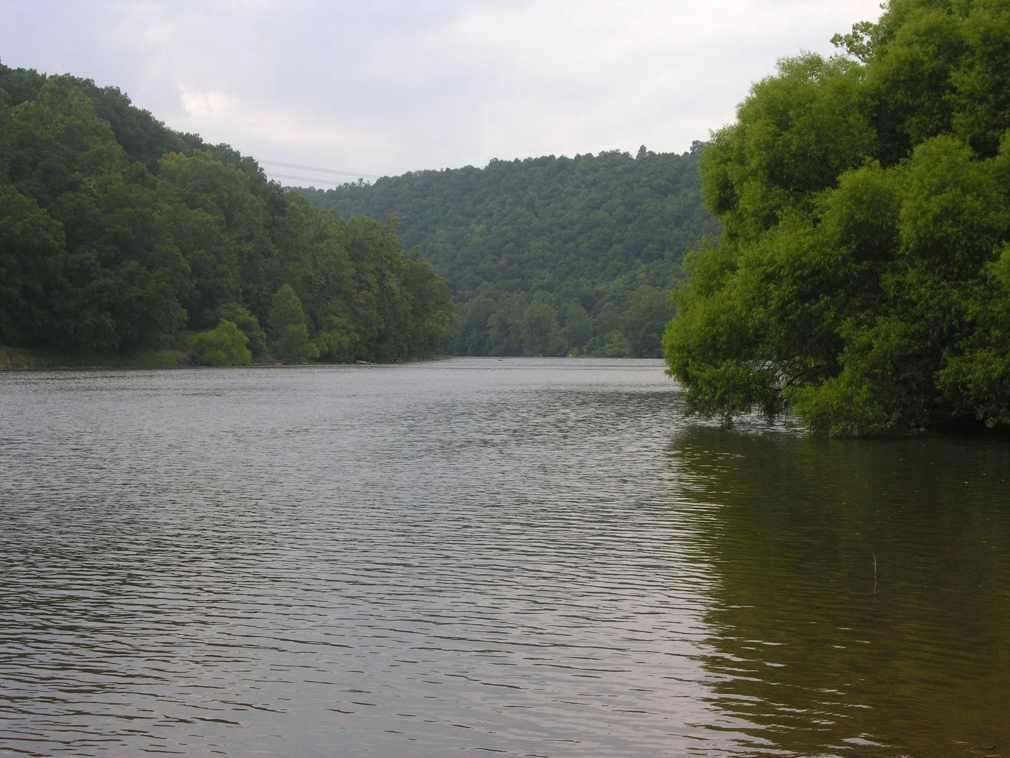 New River Photo-Upstream 2.jpg
