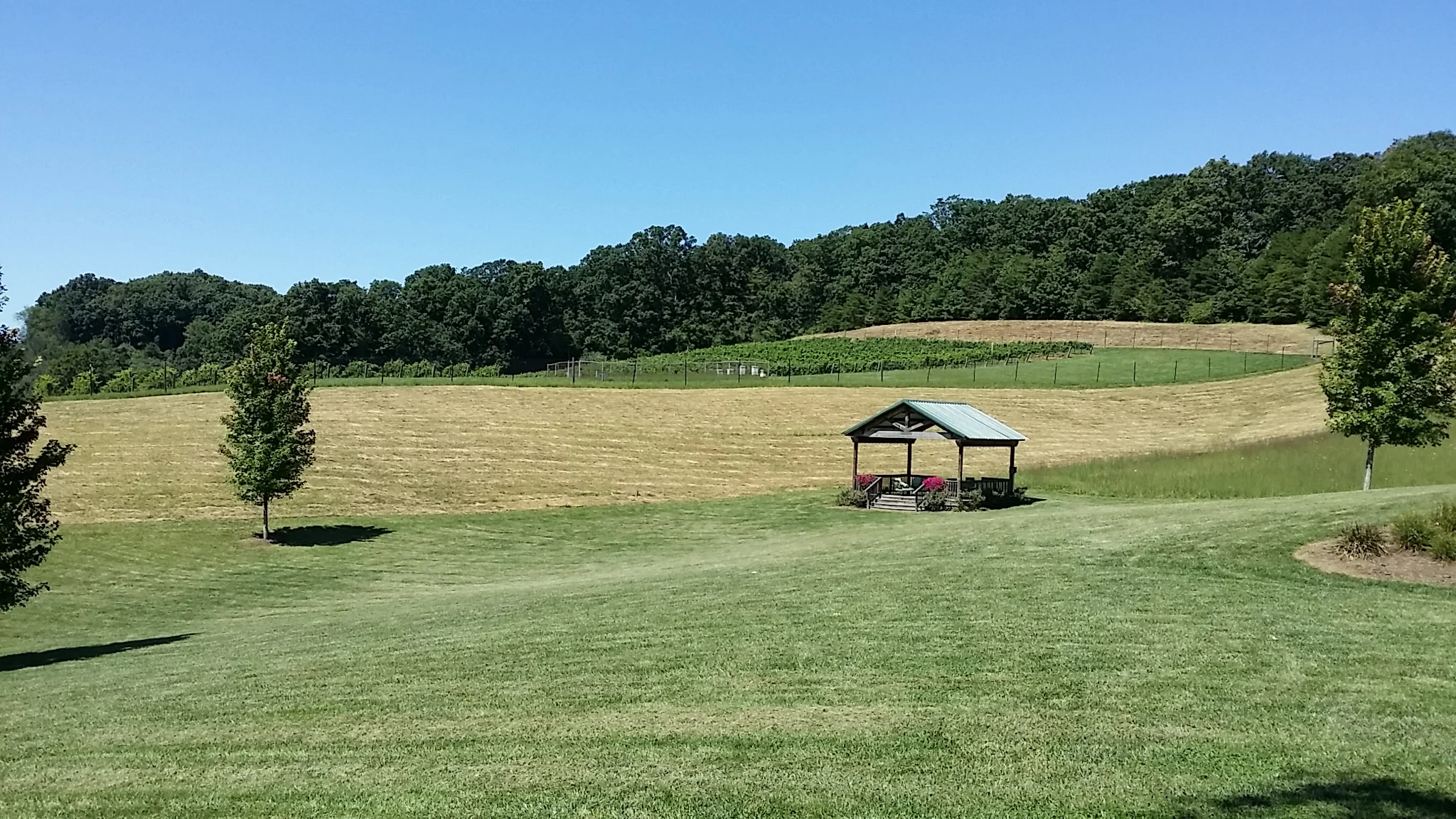 20150825_122452.jpg