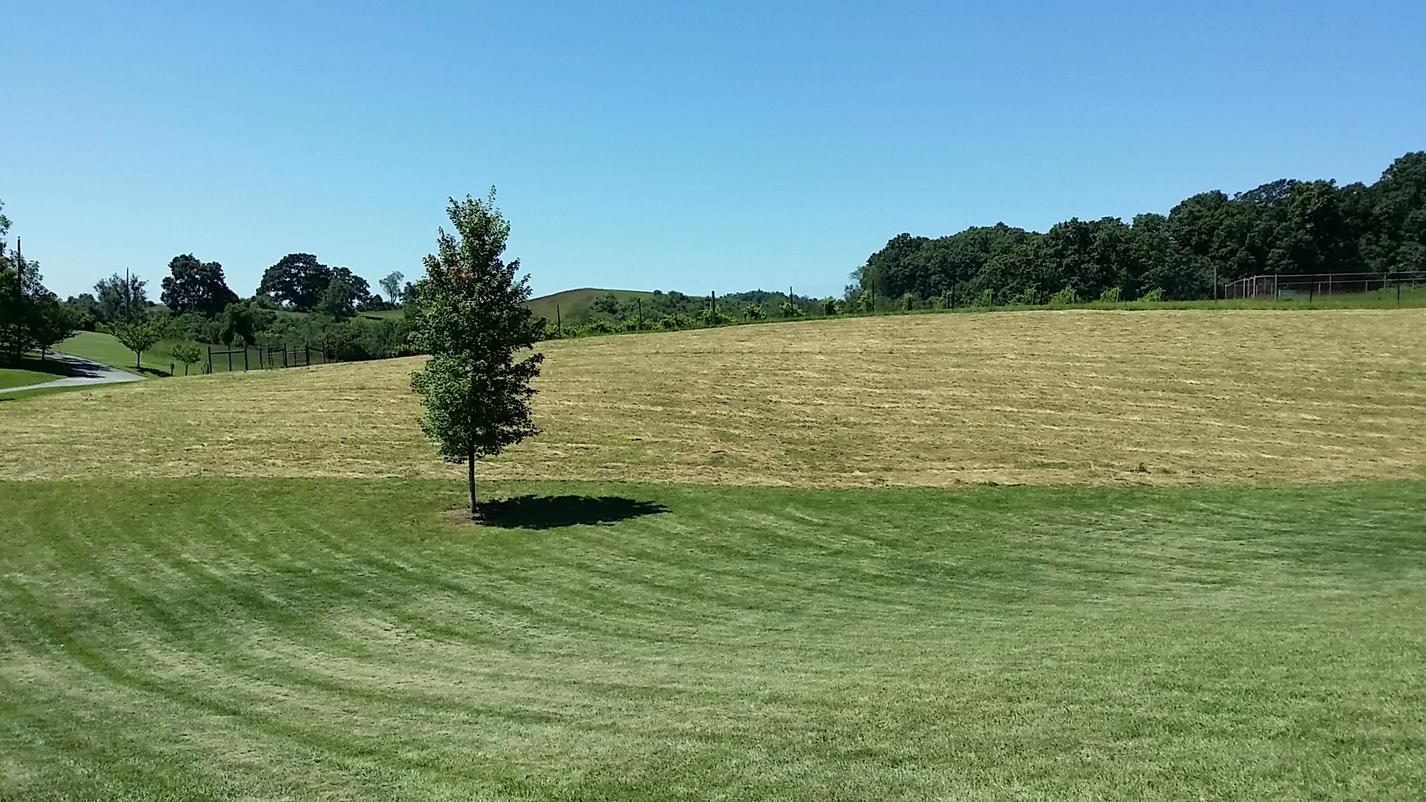 20150825_122603.jpg