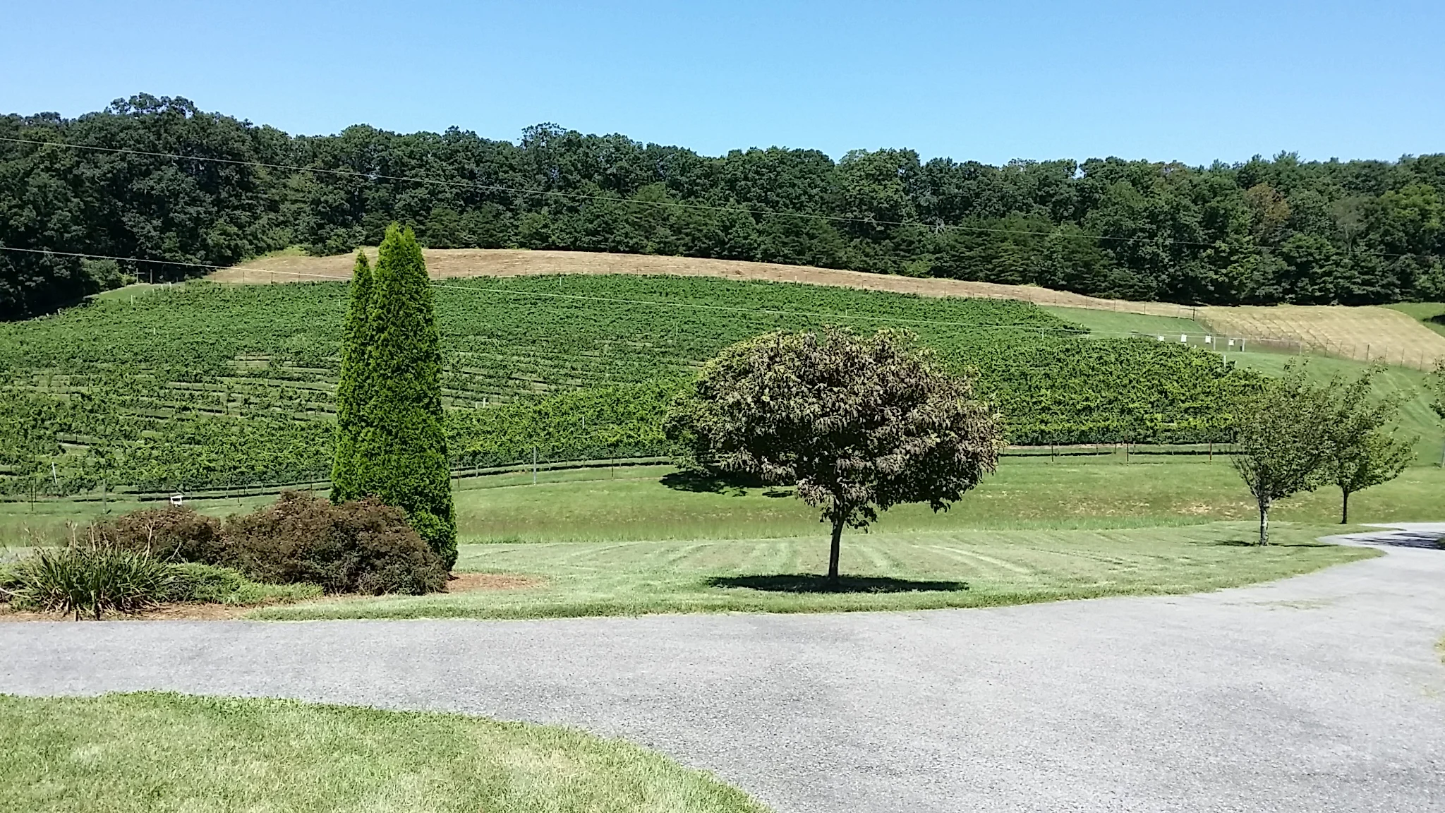 20150825_123226.jpg