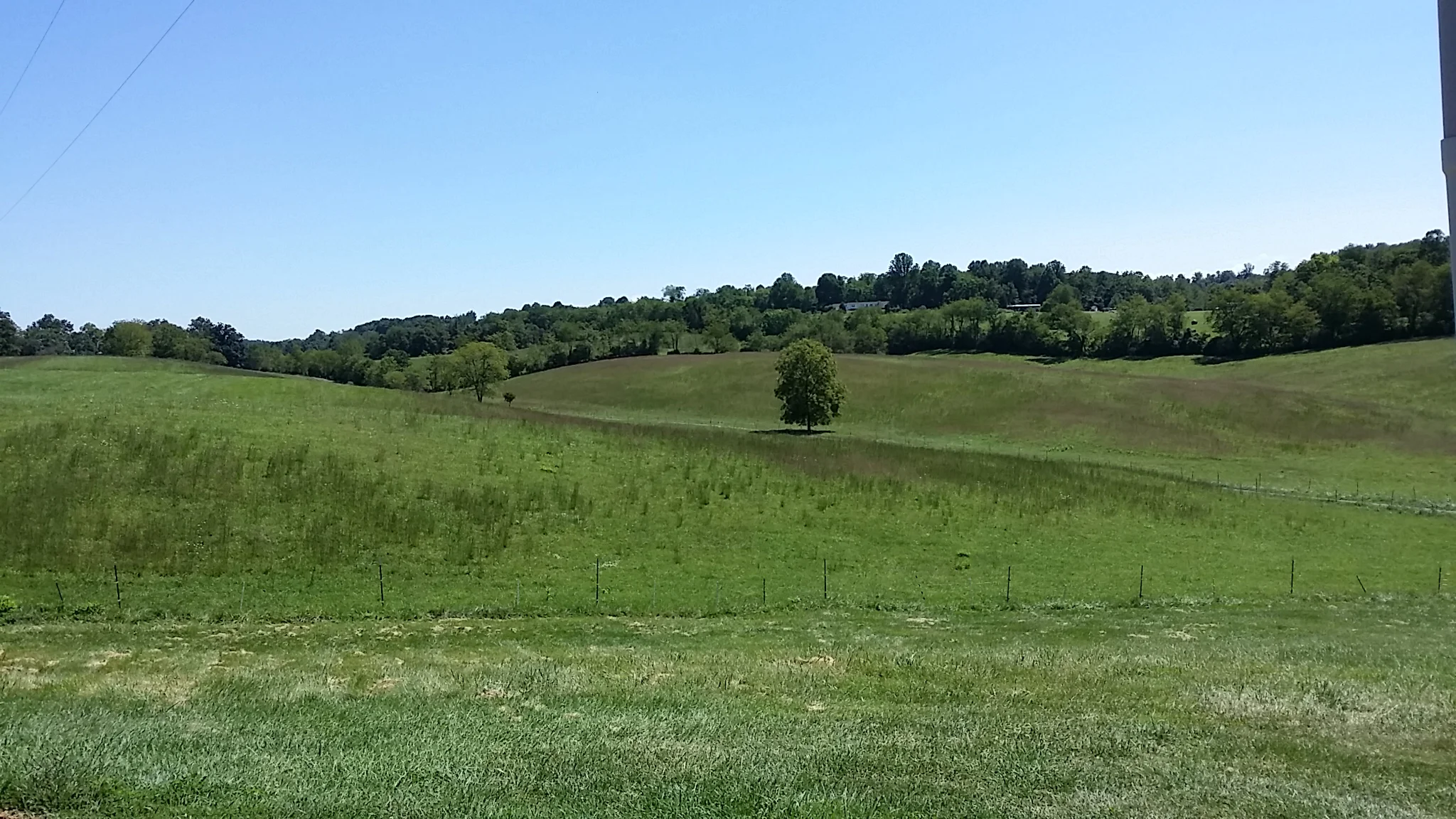 20150825_122404.jpg