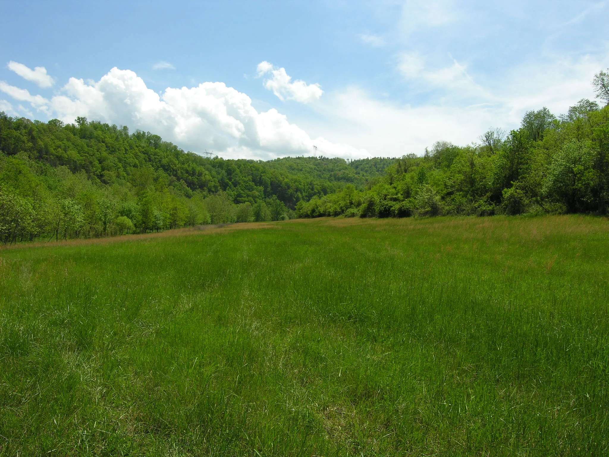 TBD Waterview Main for Wordsprint.JPG