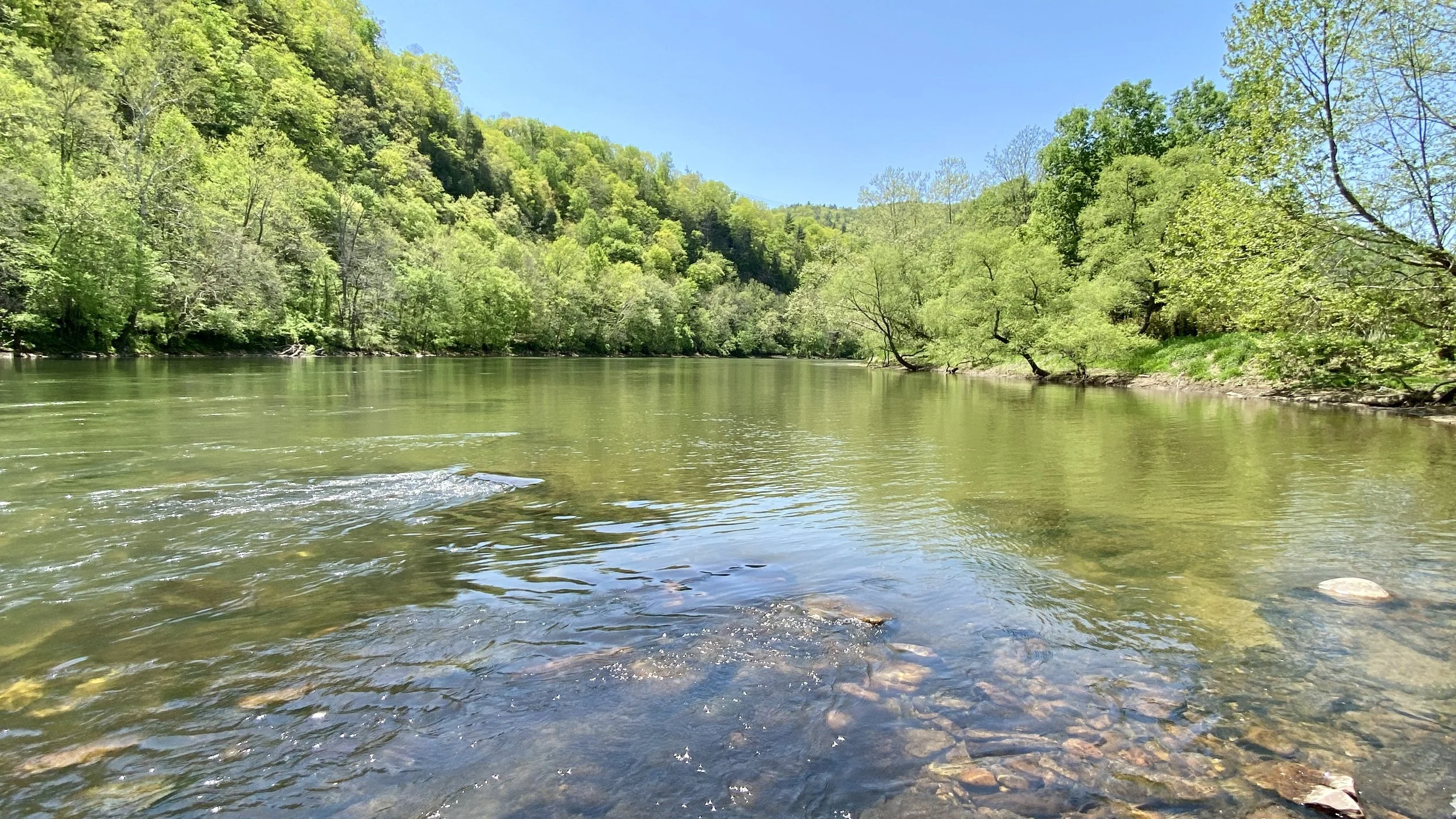 6.0 Acres on the New River-SOLD!