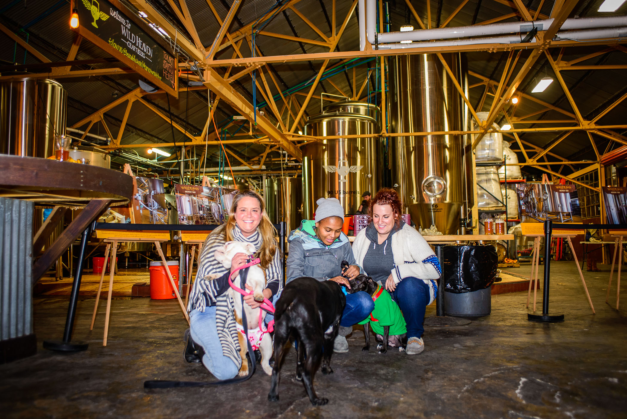 Pups&Pints-1.jpg