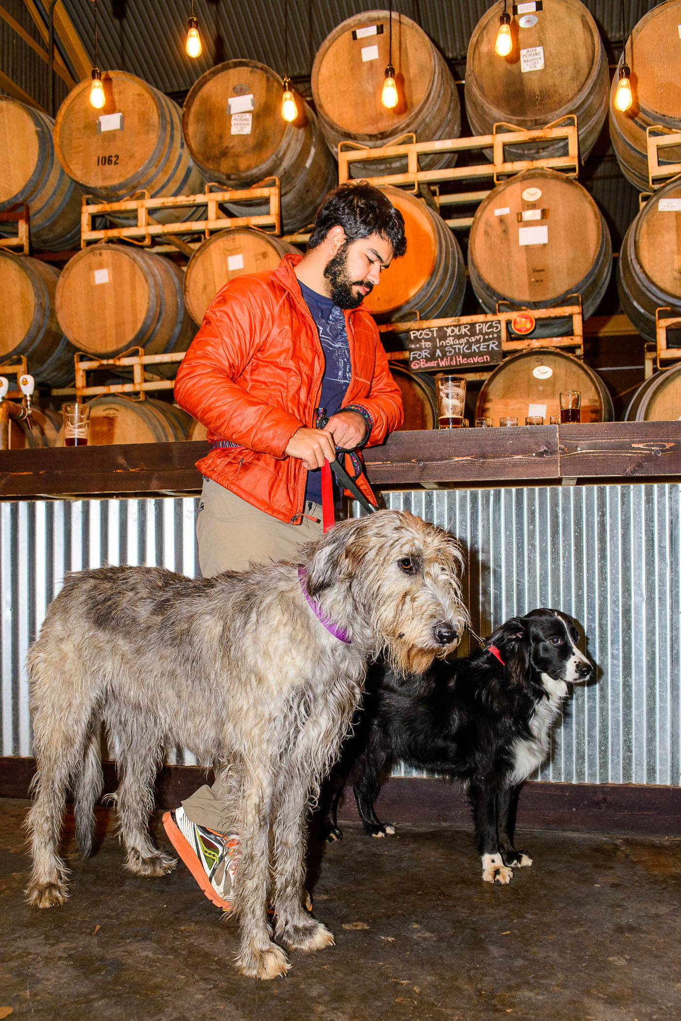 Pups&Pints-3.jpg