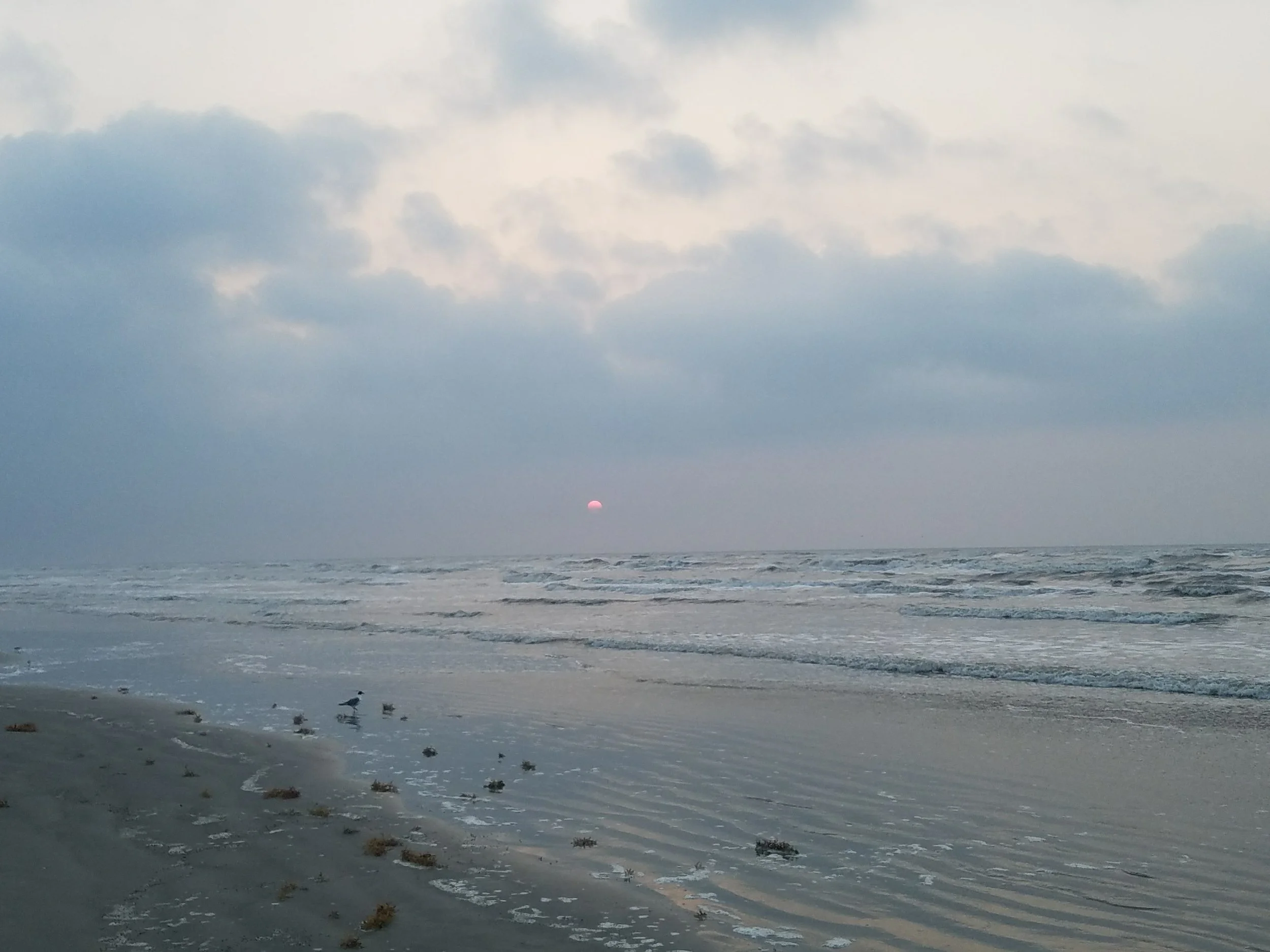 Sunrise beach run. 
