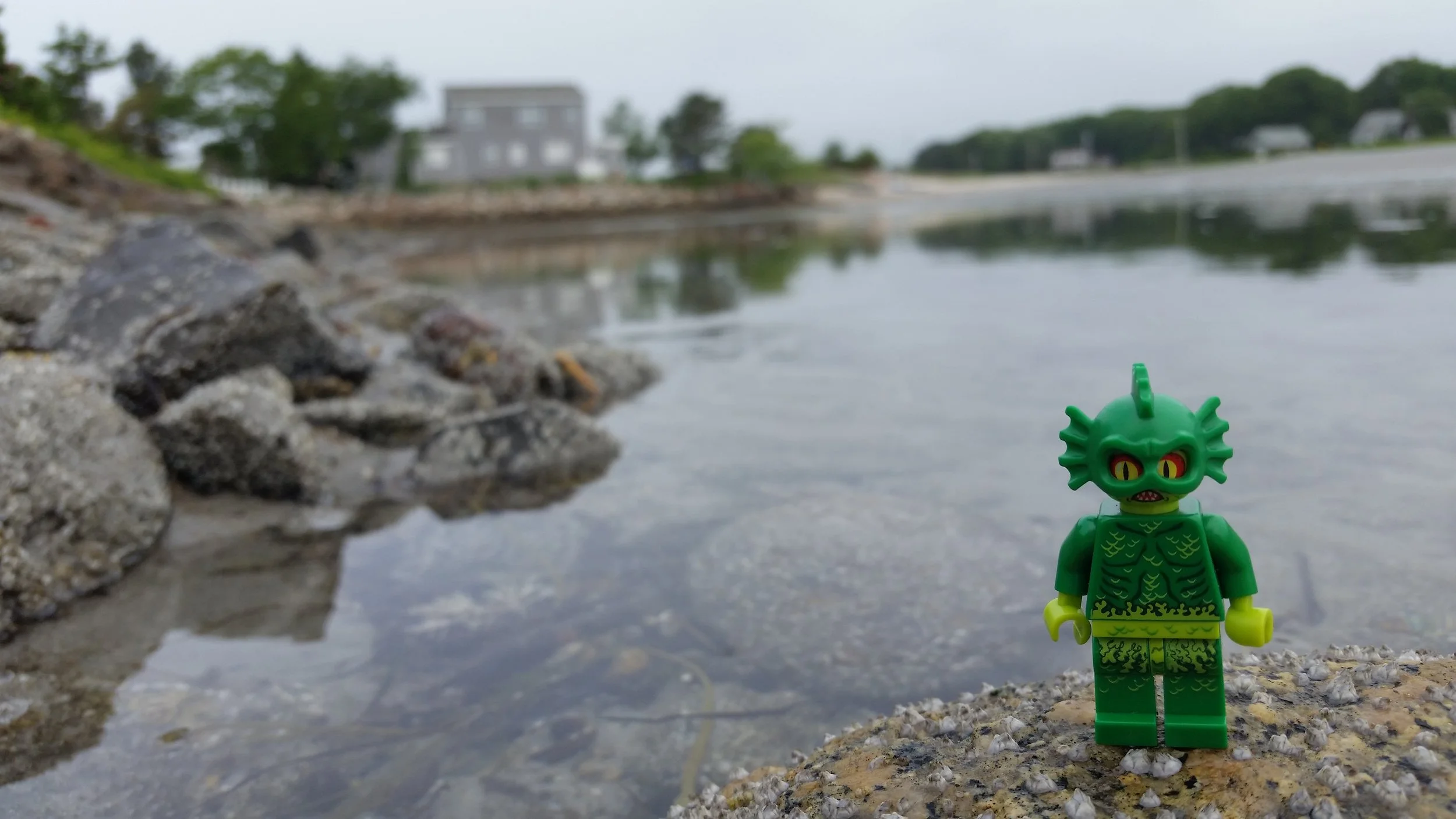 lego_Maine.jpg