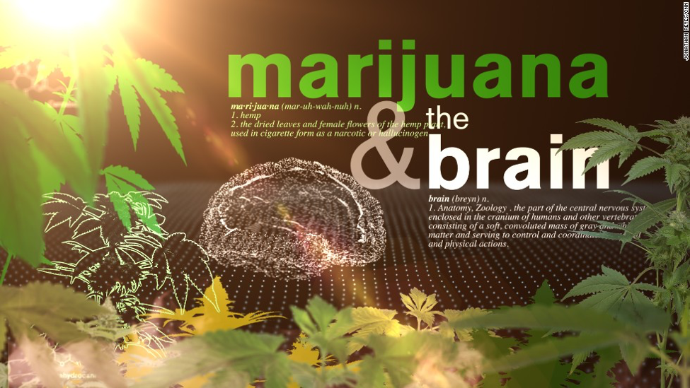 Recent Surgeon General’s Advisory Continues to Emphasize Health Risks of Marijuana on the Developing Brain 