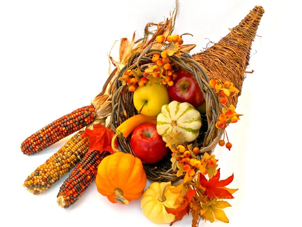 Fotolia_1095850_X.jpg