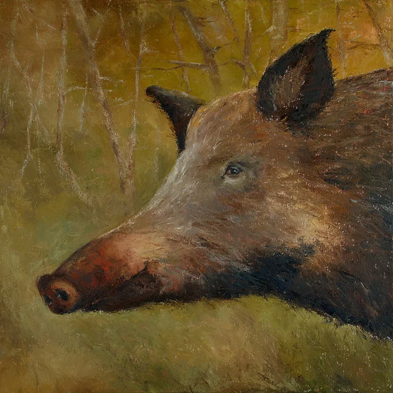   Sanglier , 2015 Oil on canvas. 80x80 cm  Sold  