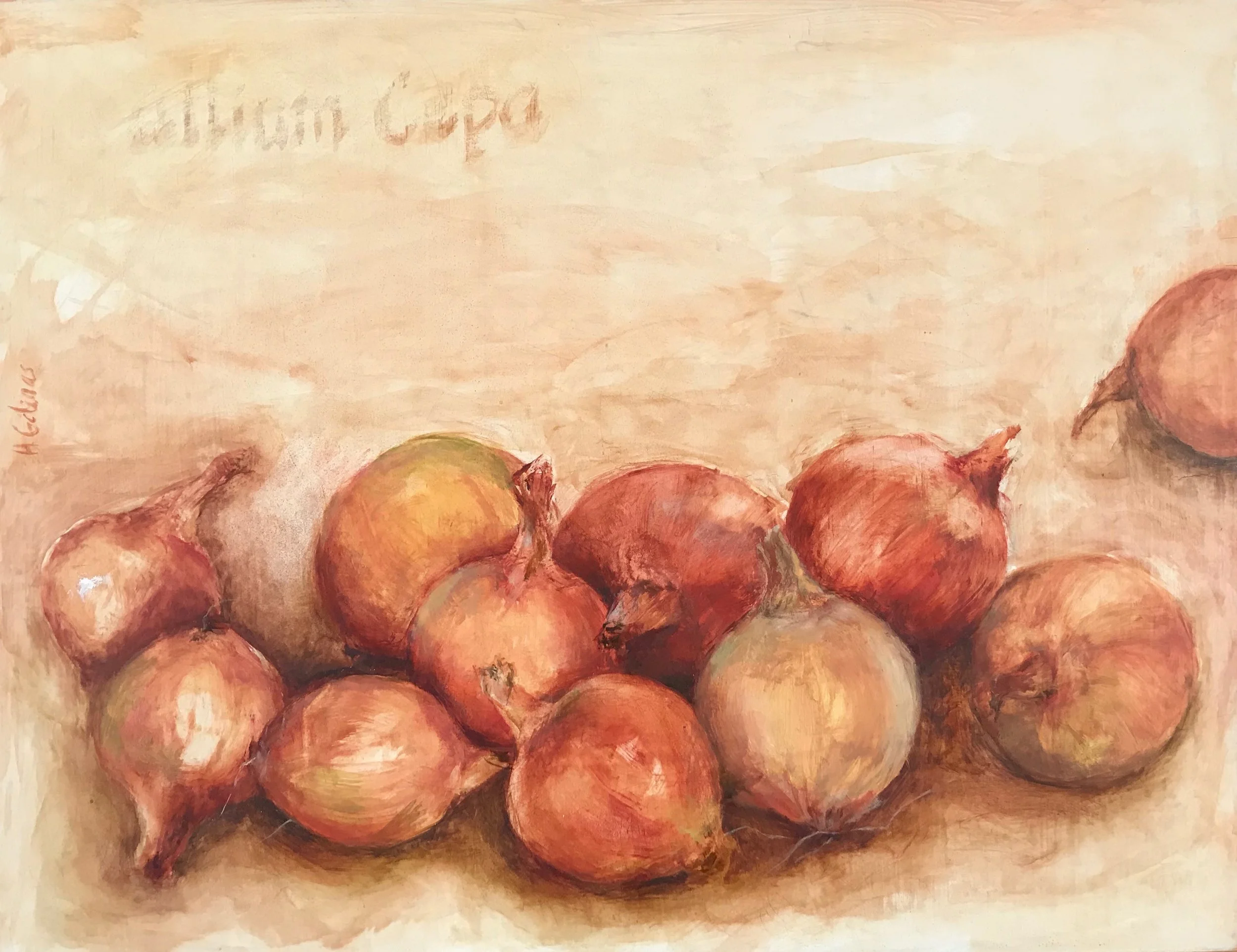   Allium Cepa,  2019 Oil on wood panel. 35x27cm  SOLD  