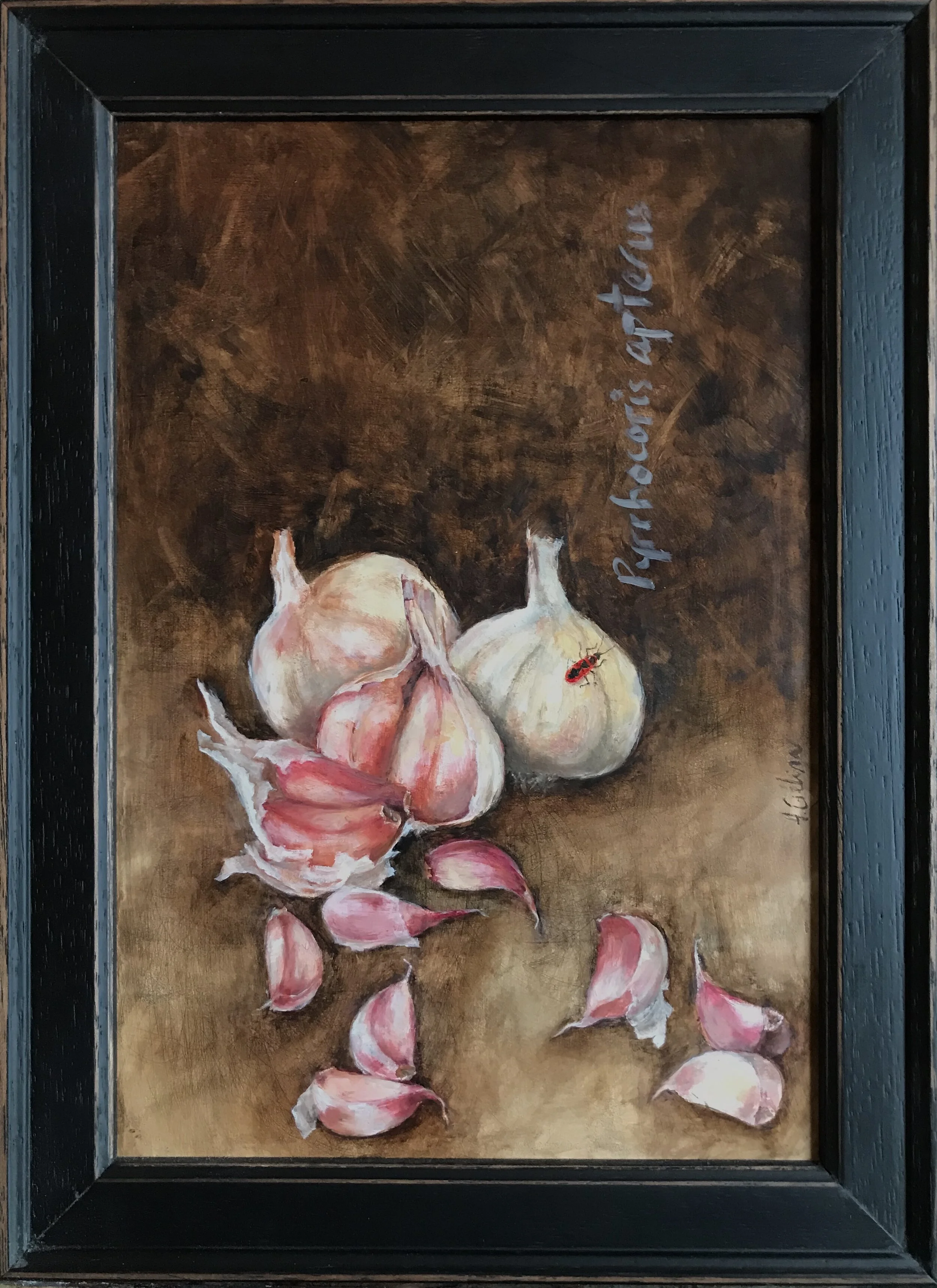   Pyrrhocoris apterus,  2018   oil on wood panel, 21cm x 30cm 