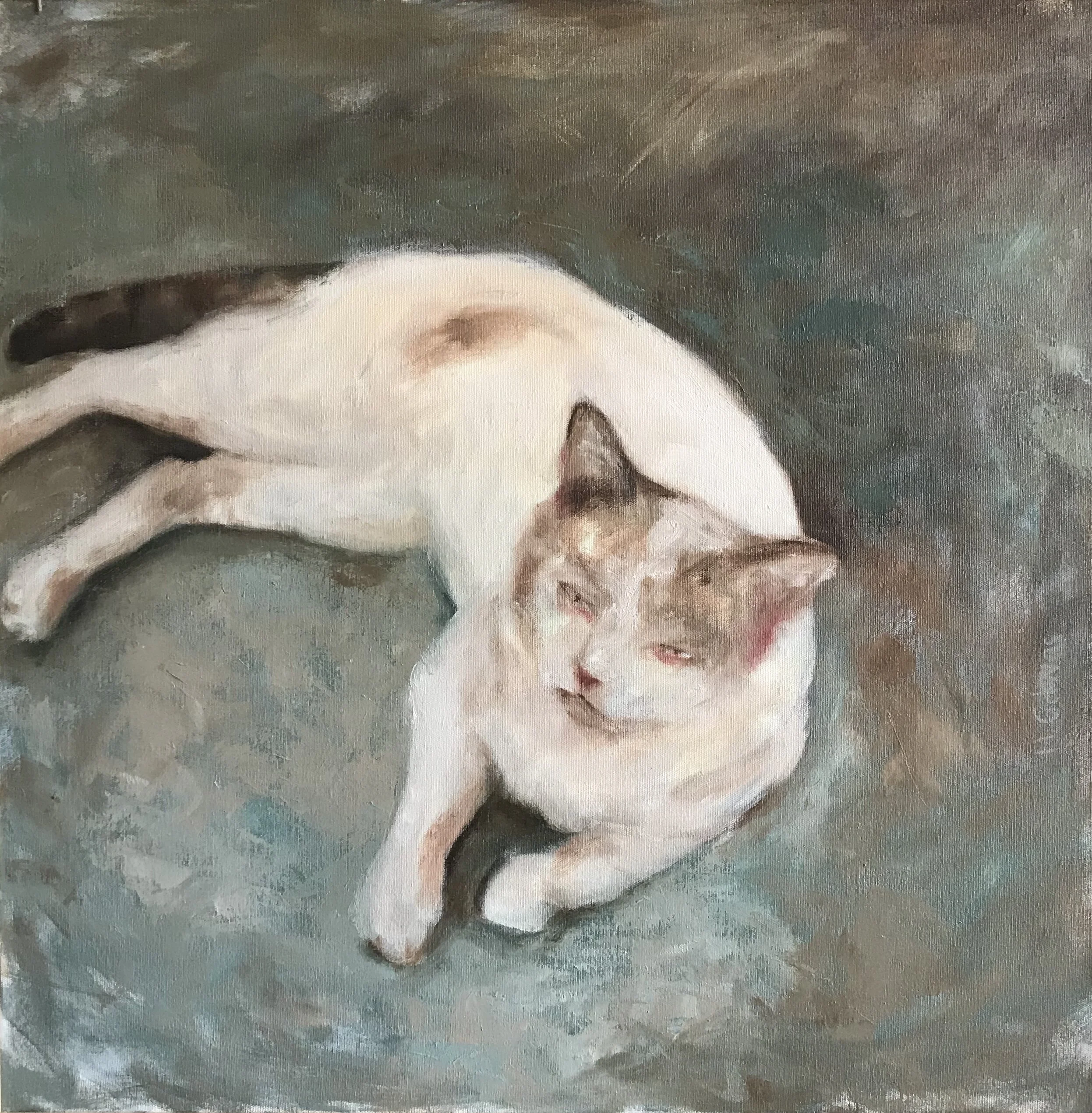   Emilio , 2012 Oil on canvas. 61x61 cm 