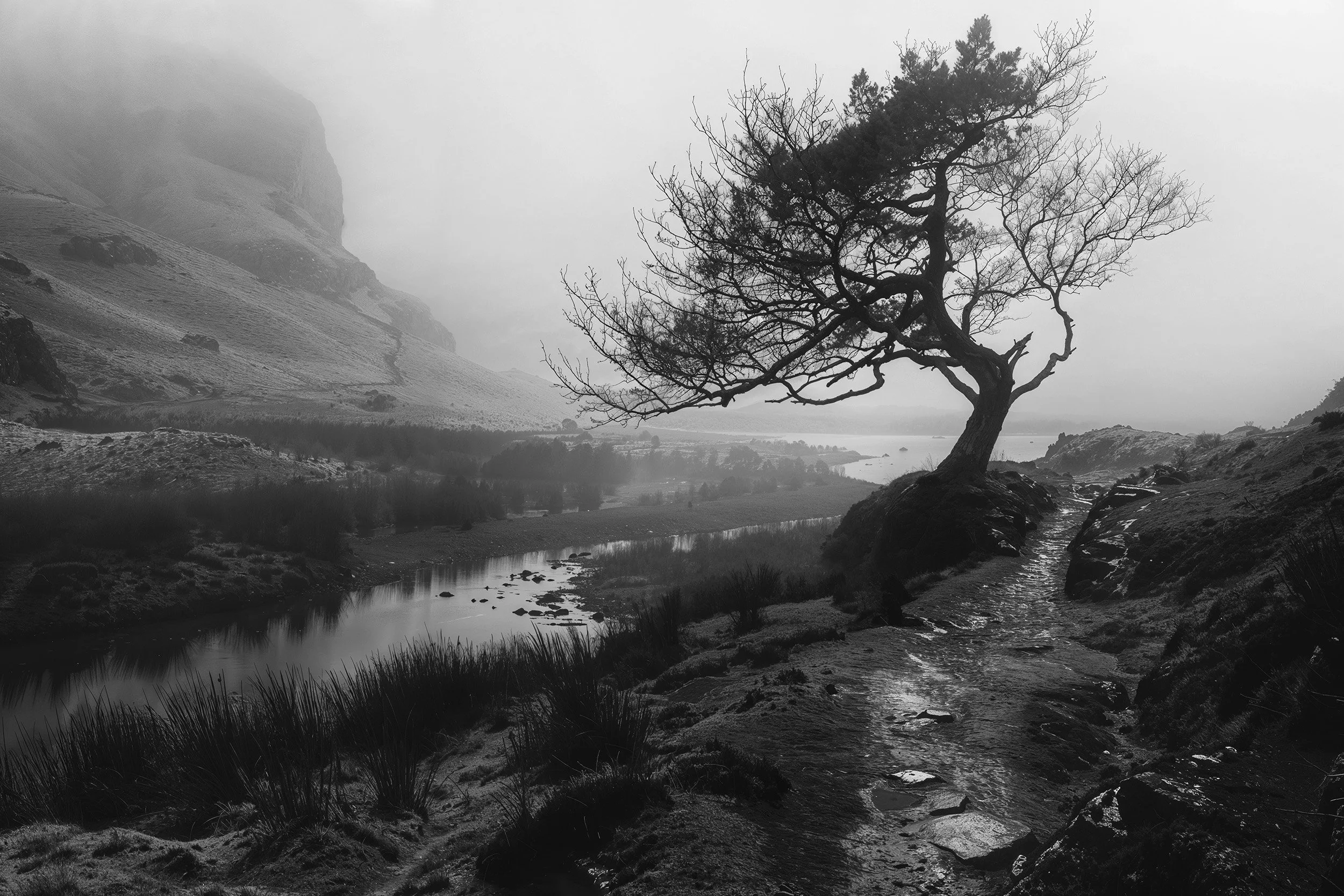 Morning Flow 3 AI Image by Terence du Fresne.jpg