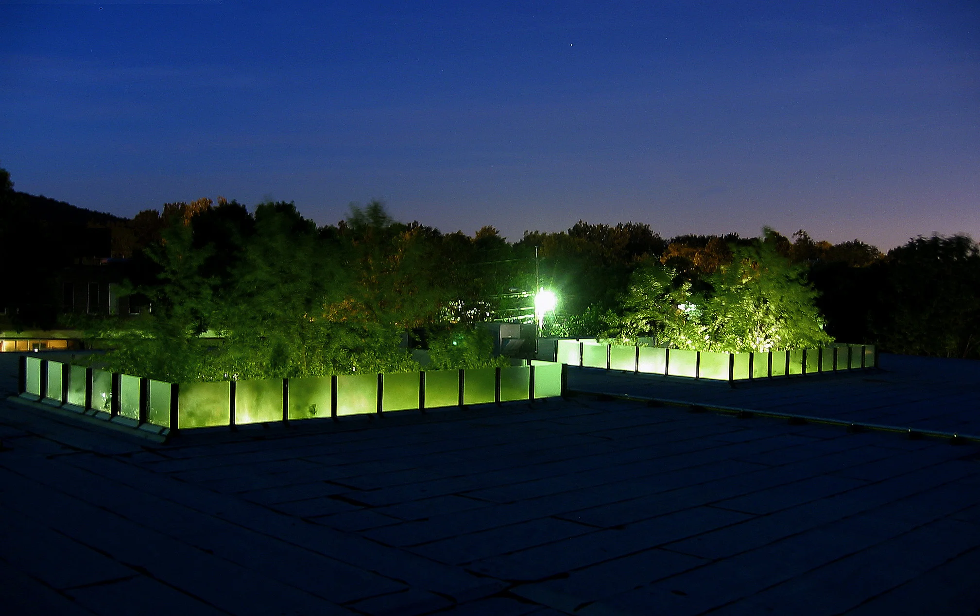 Copy of Tahari roof view.jpg