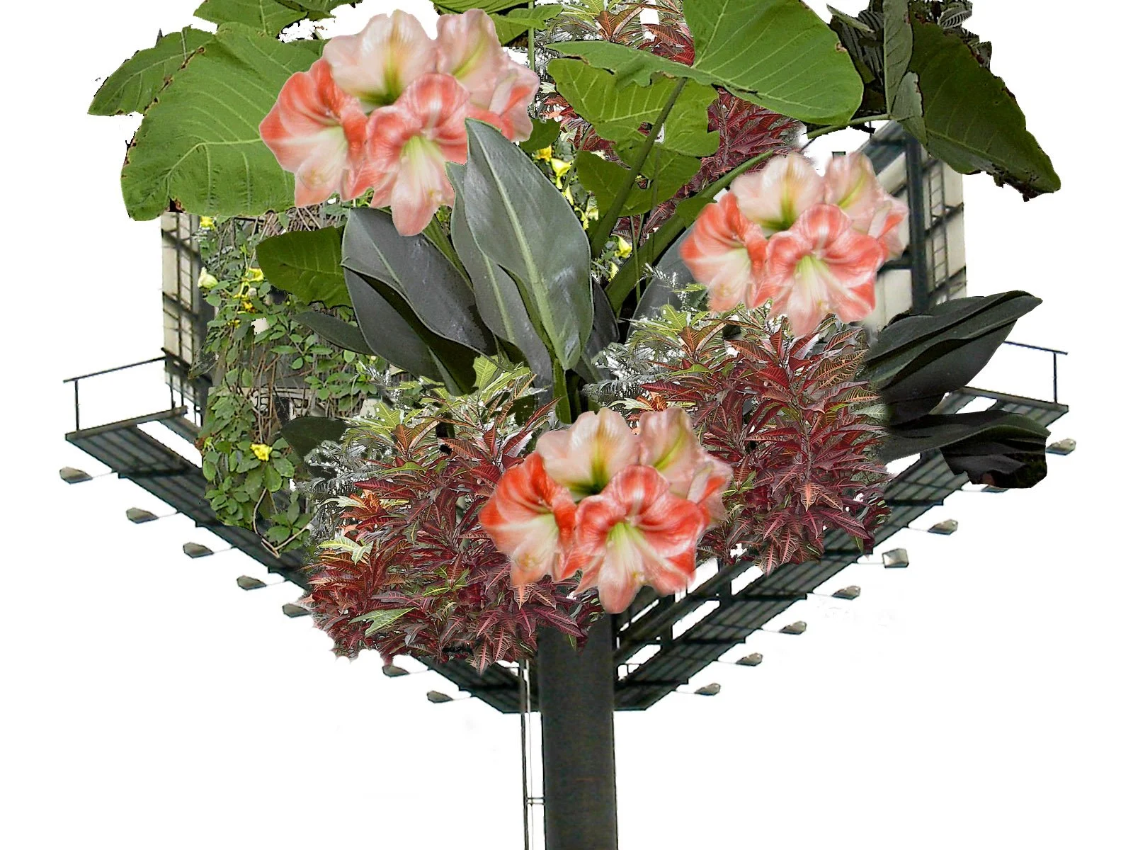 cover back backside2 copy.jpg