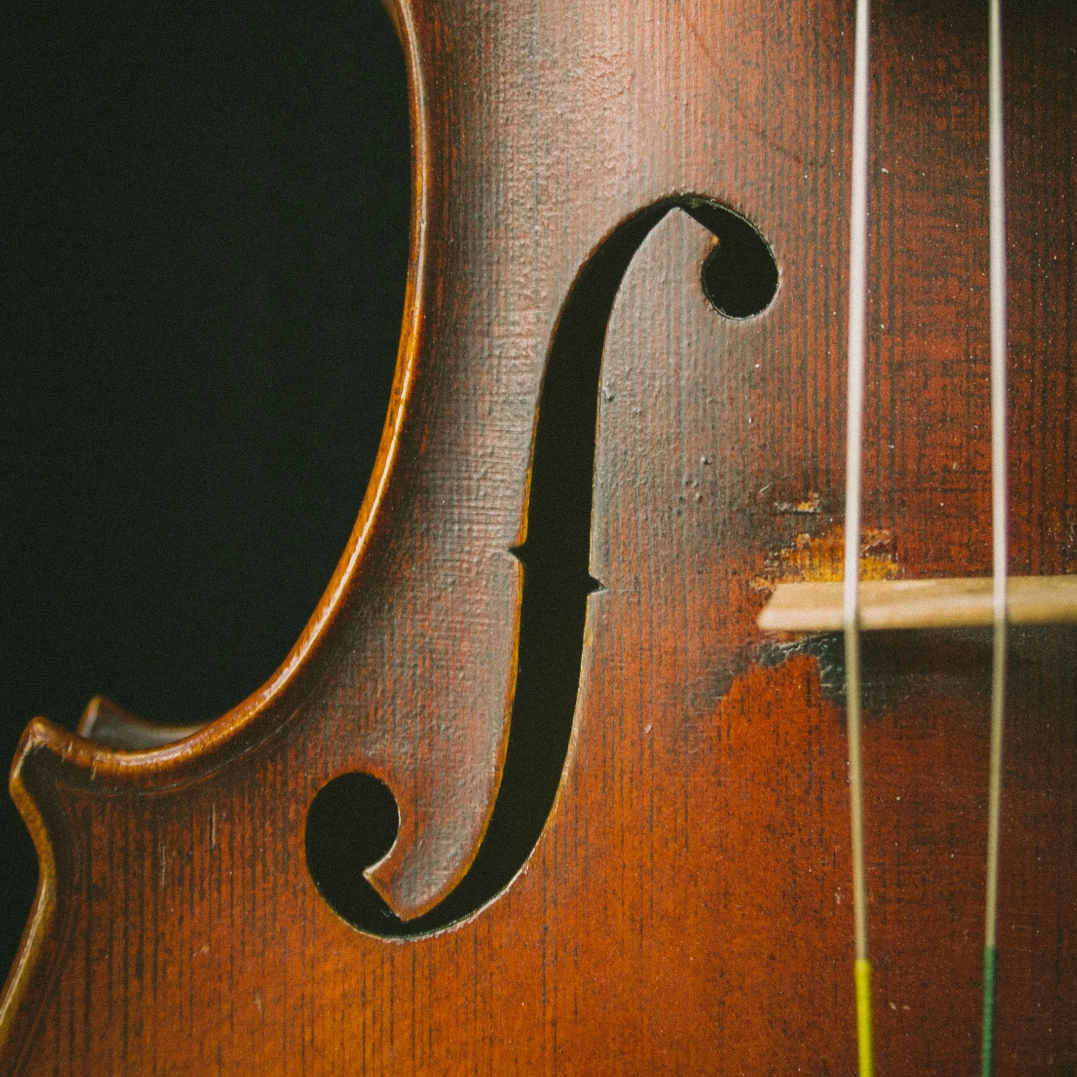 johanna-vogt-242305-unsplash.jpg