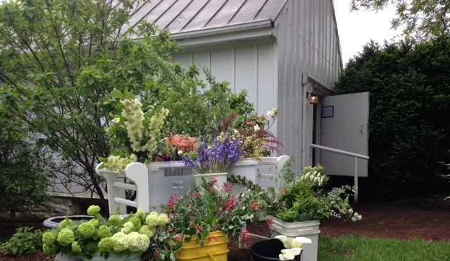 Collected Buckets outside the Weaving house. 