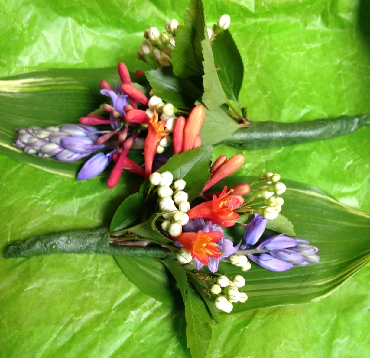 colorful BOUTONNIERES 