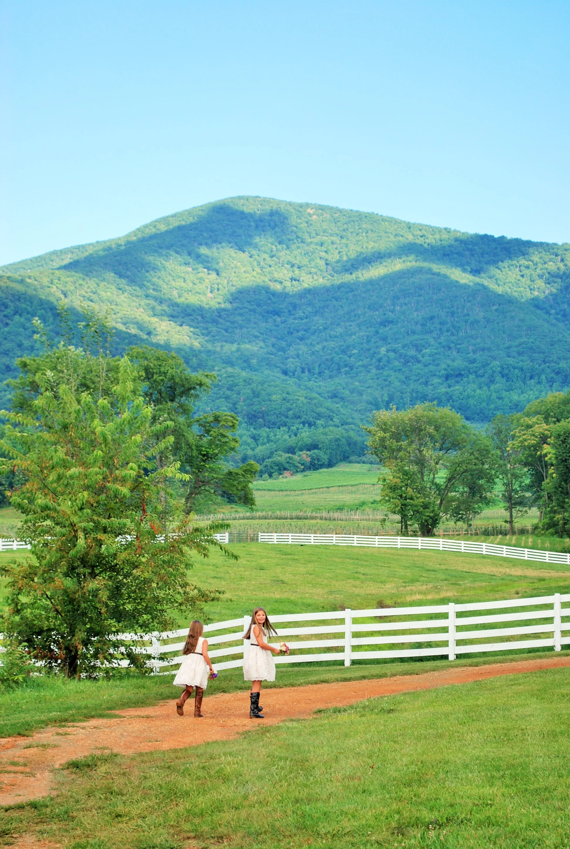 Trying to escape to the horse pasture