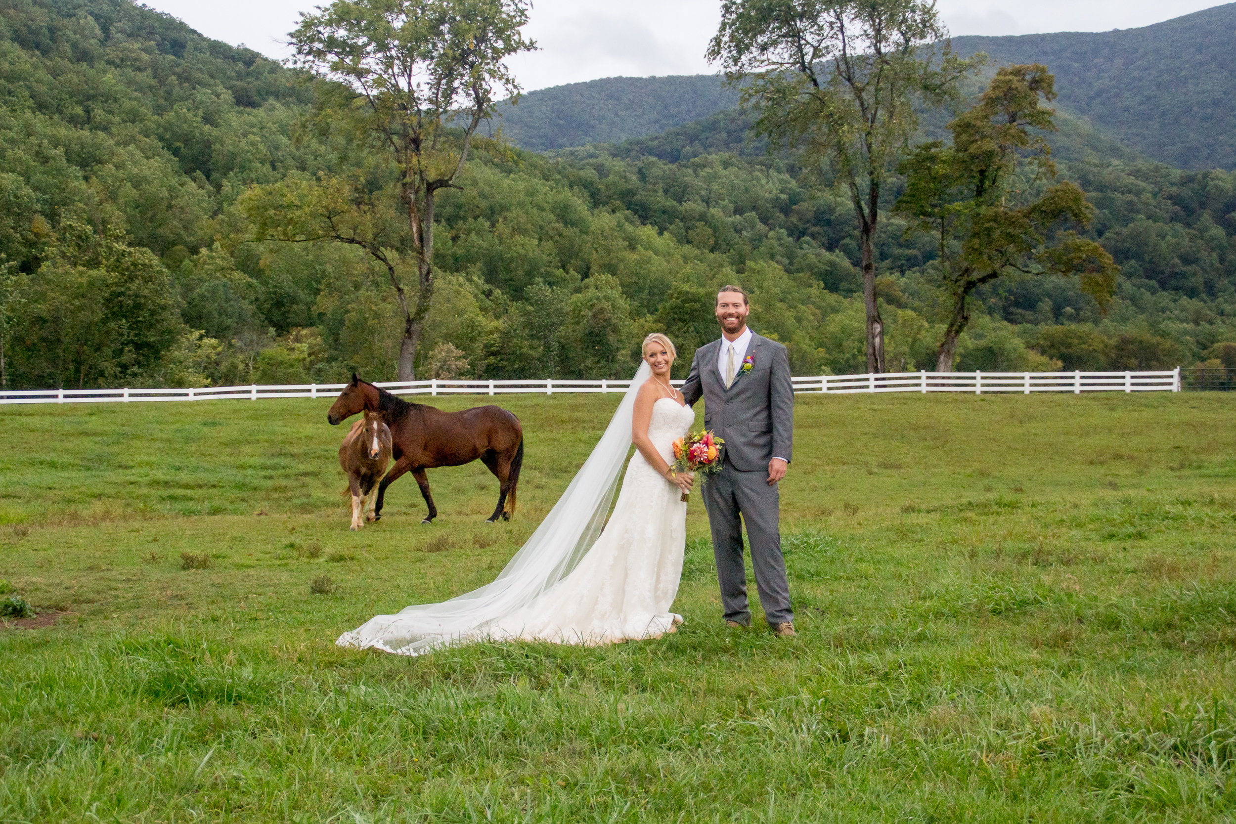bride and groom with horses.jpg