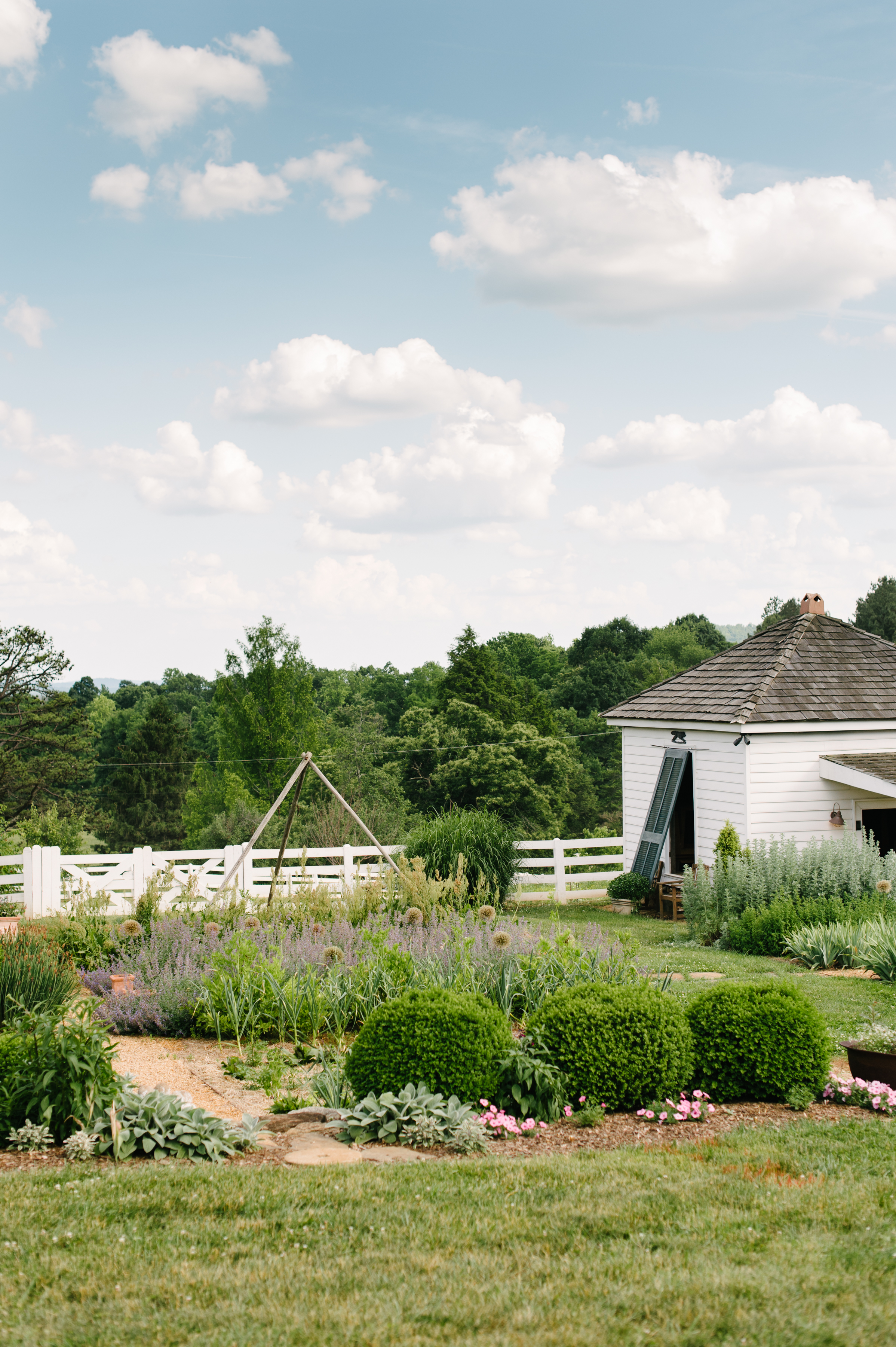 herb garden.jpg