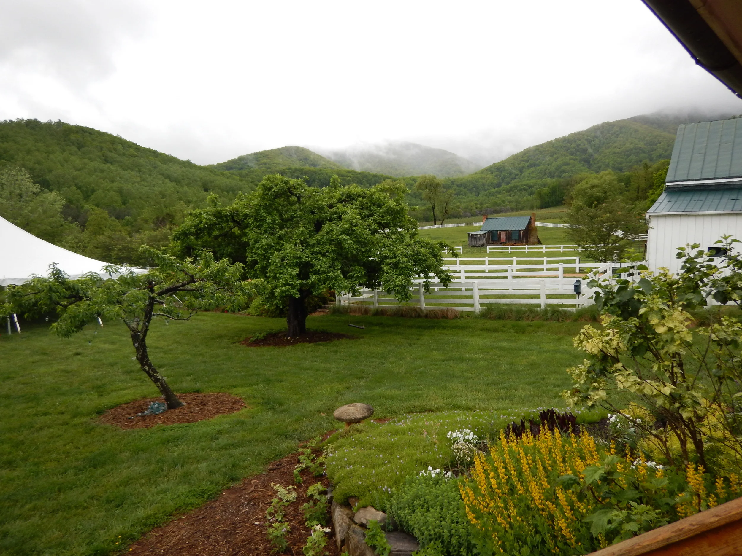 We have had several gorgeous weddings that the rain has steered clear for, but we are loving how all the rain has greened things up!