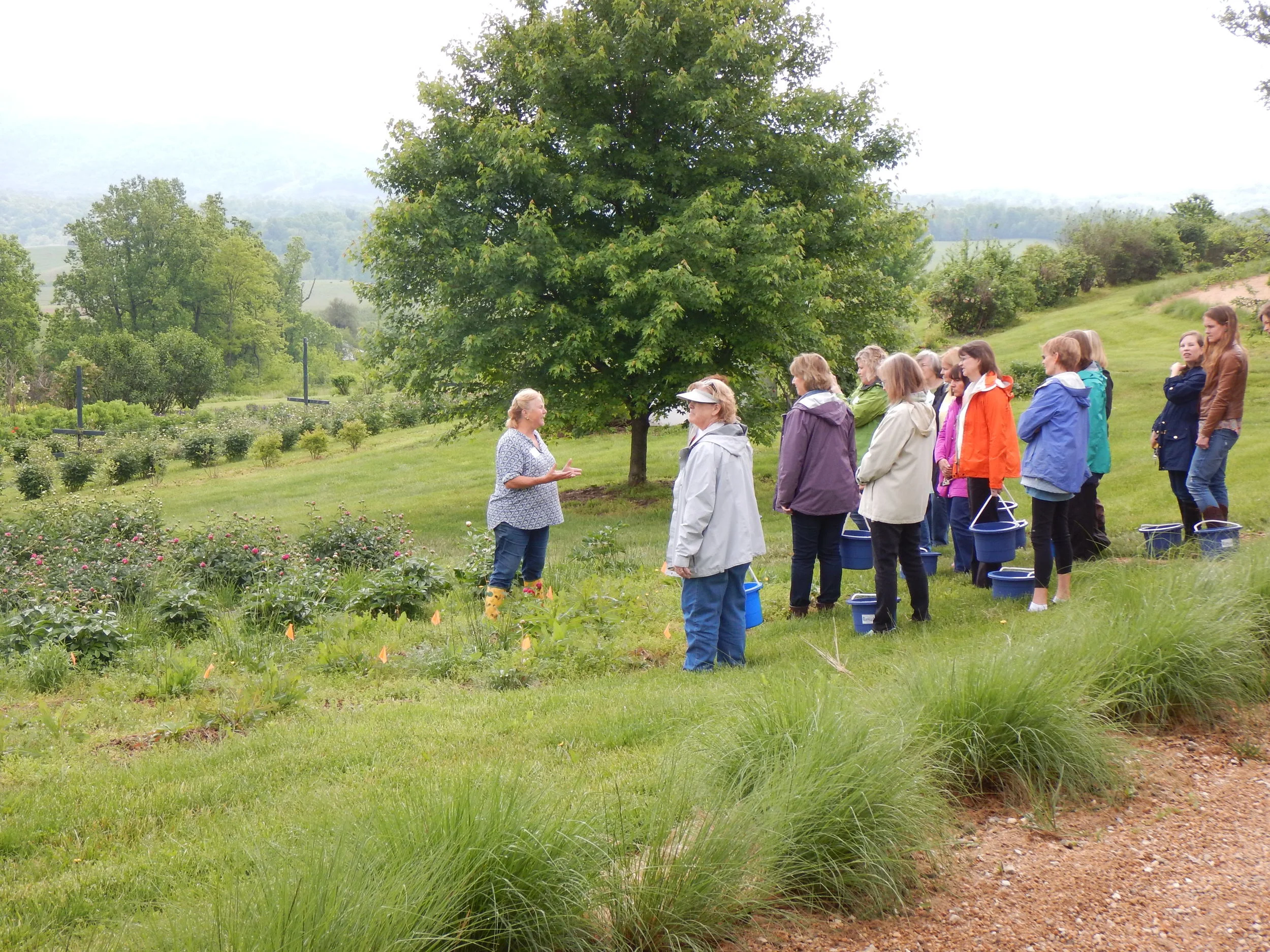 Turning Peony class loose in the field.