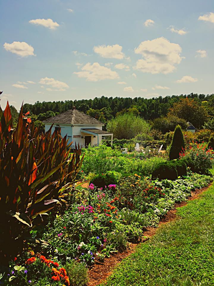 scenic garden flowers