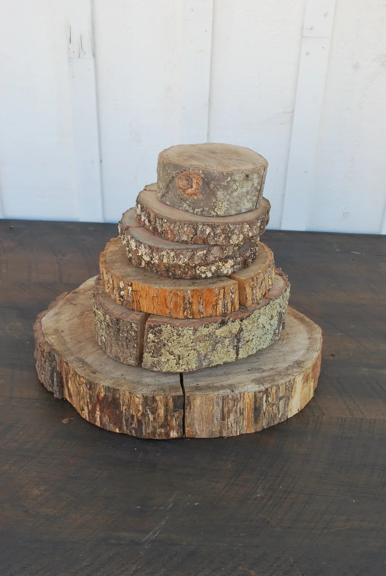 Assorted Wood Slices $5, plenty available in many sizes