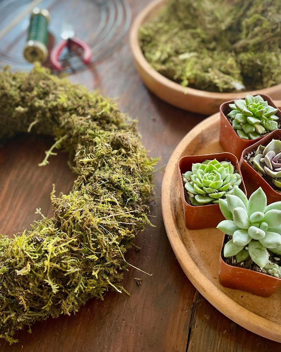 Succulent Wreath1.jpg