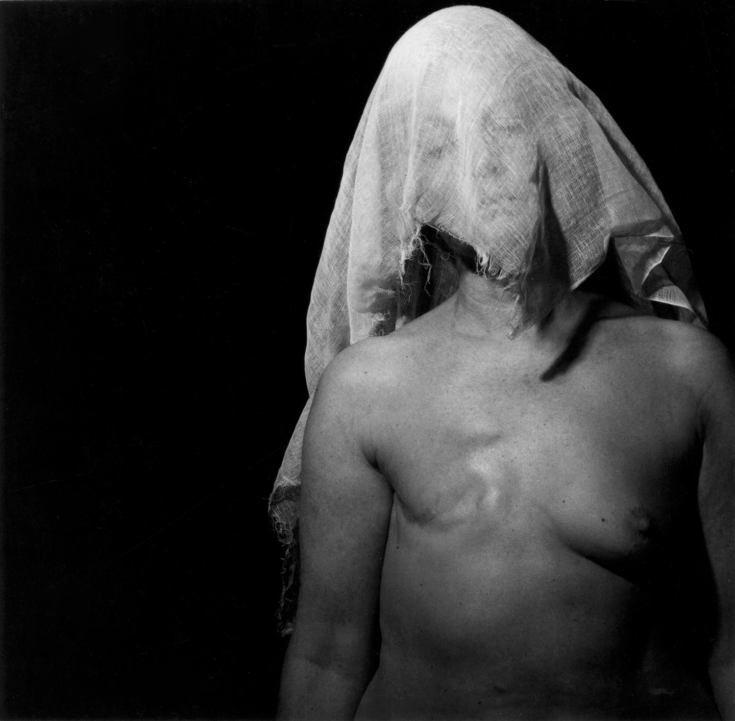 8a-Veil.jpg