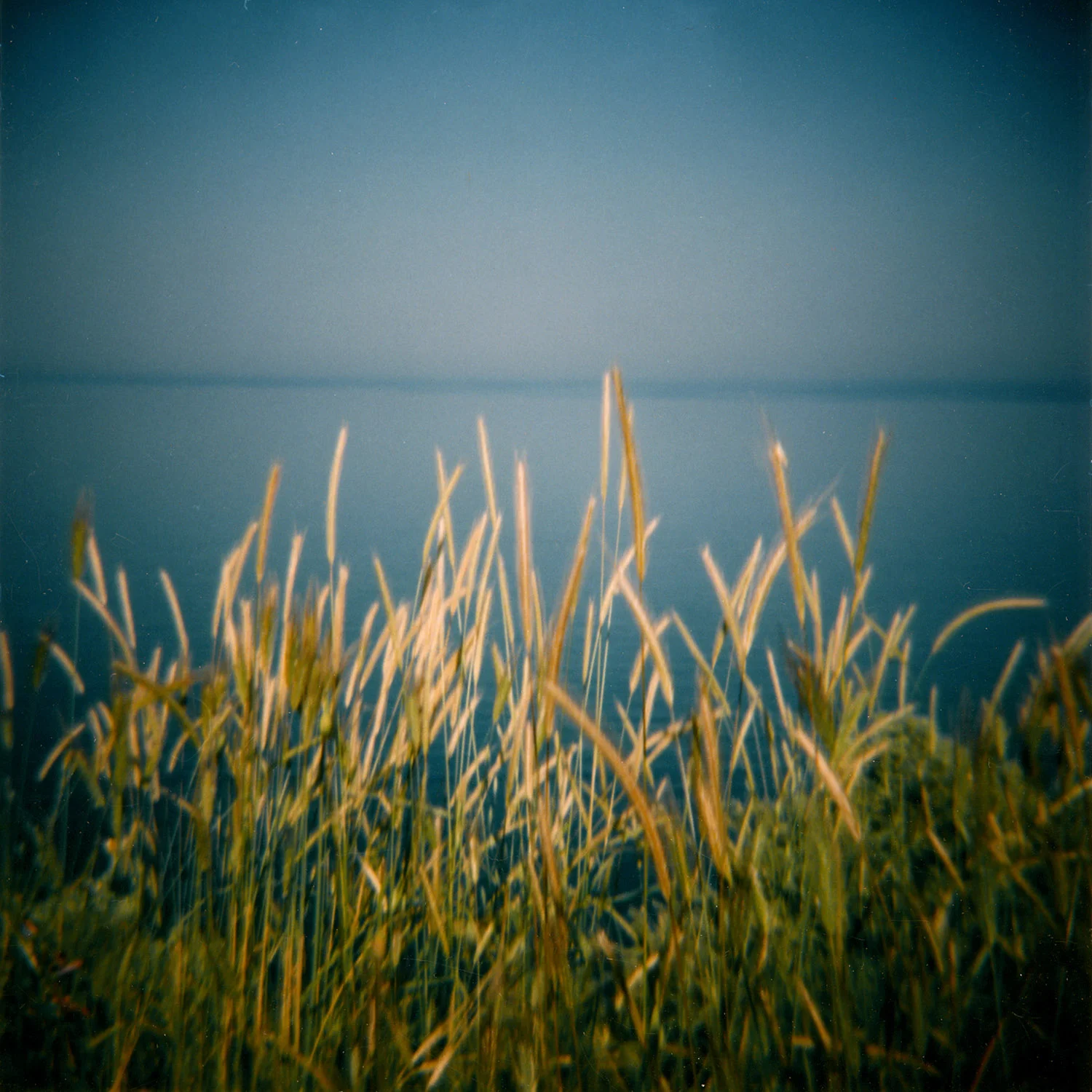diana-10.jpg