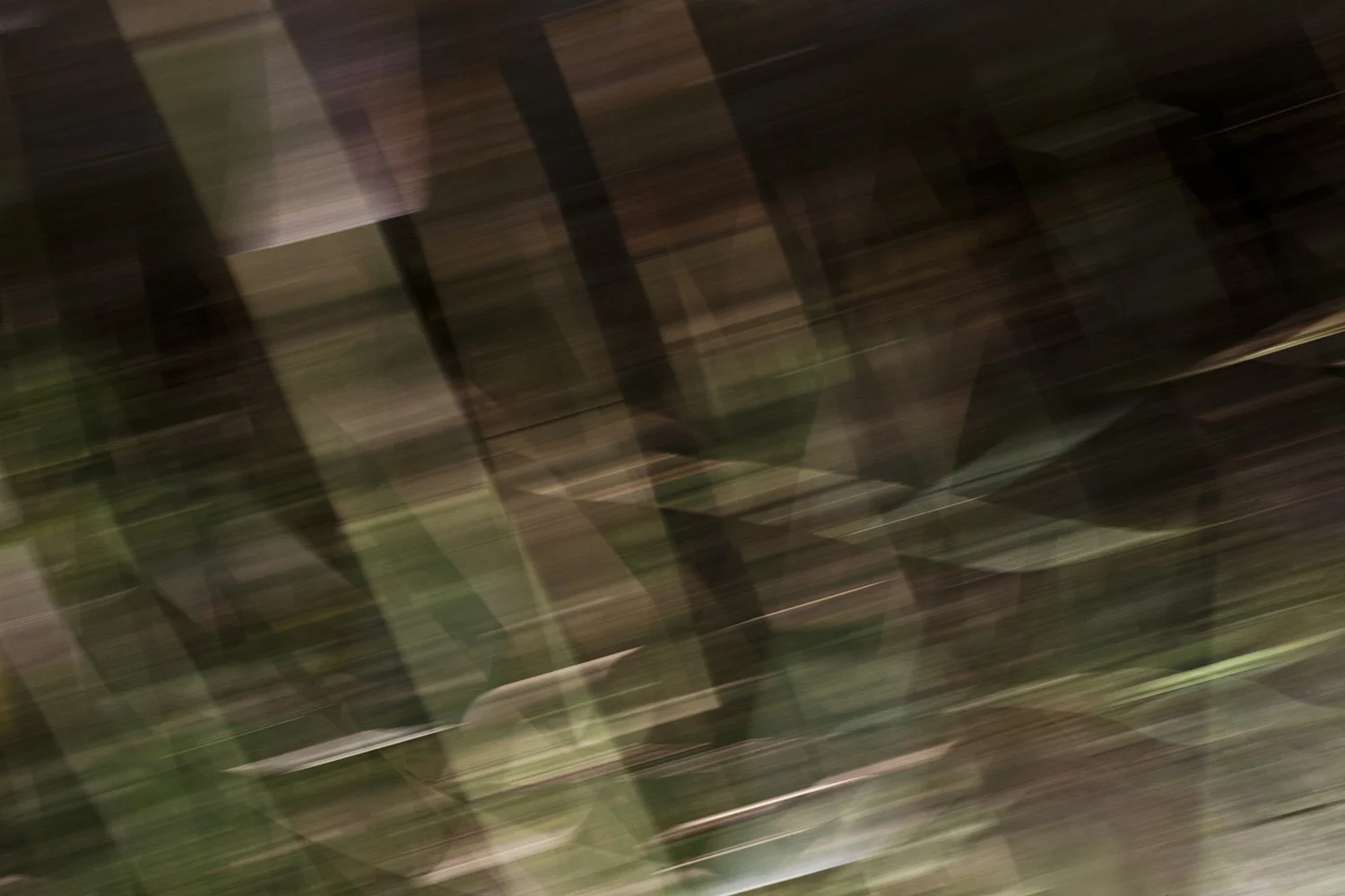 08 Berg_Enigma.jpg