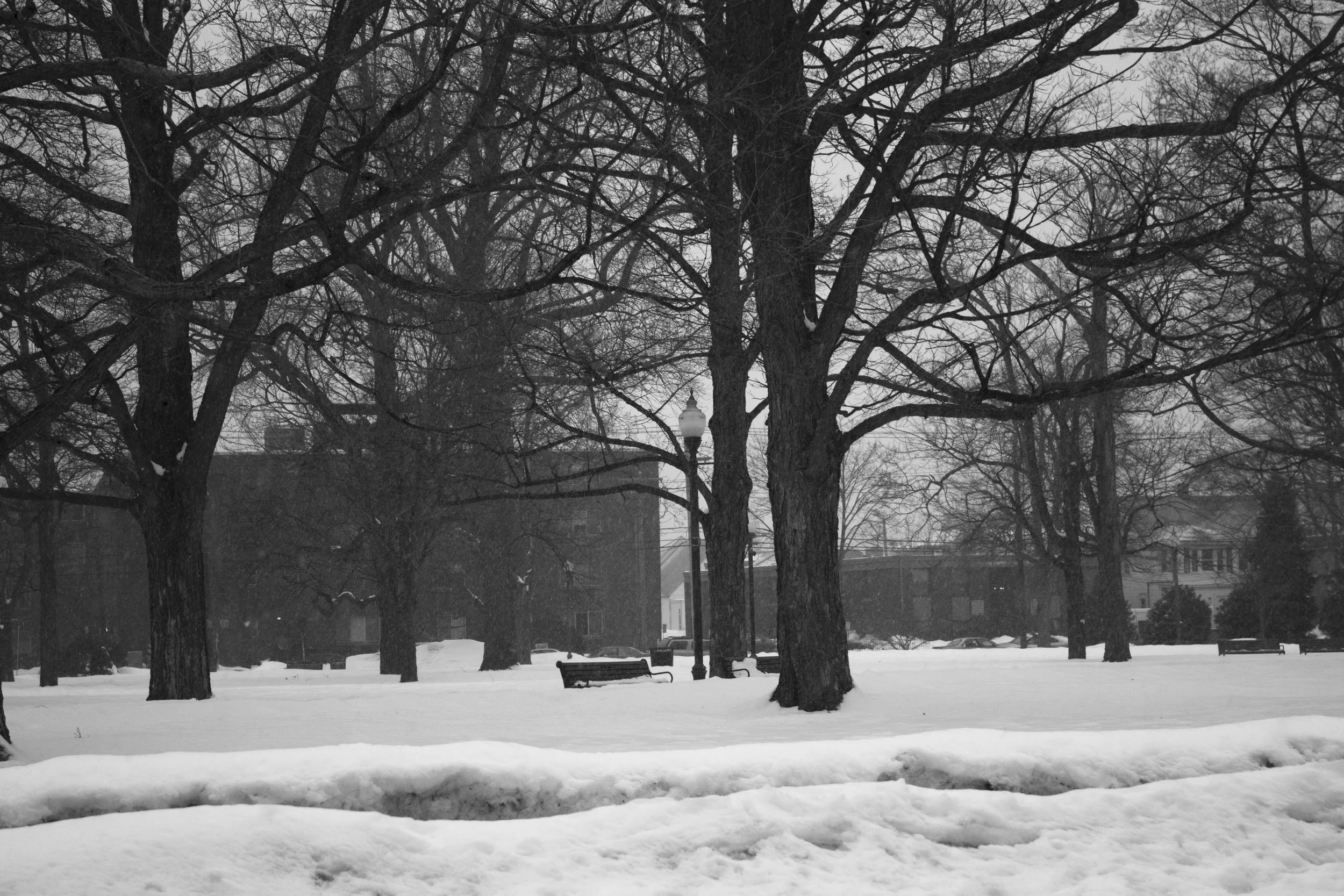_MG_8791 copy.jpg