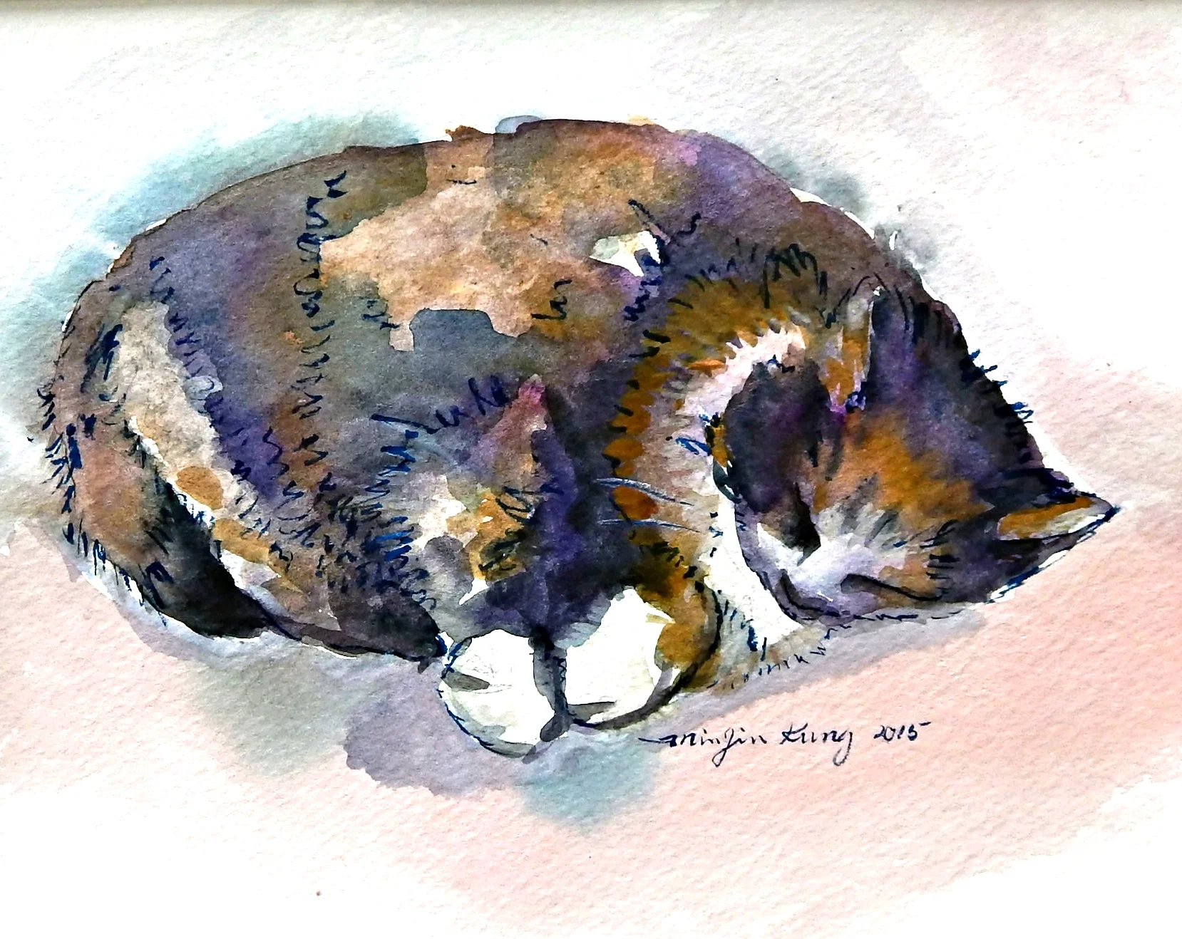 Sleeping Cat