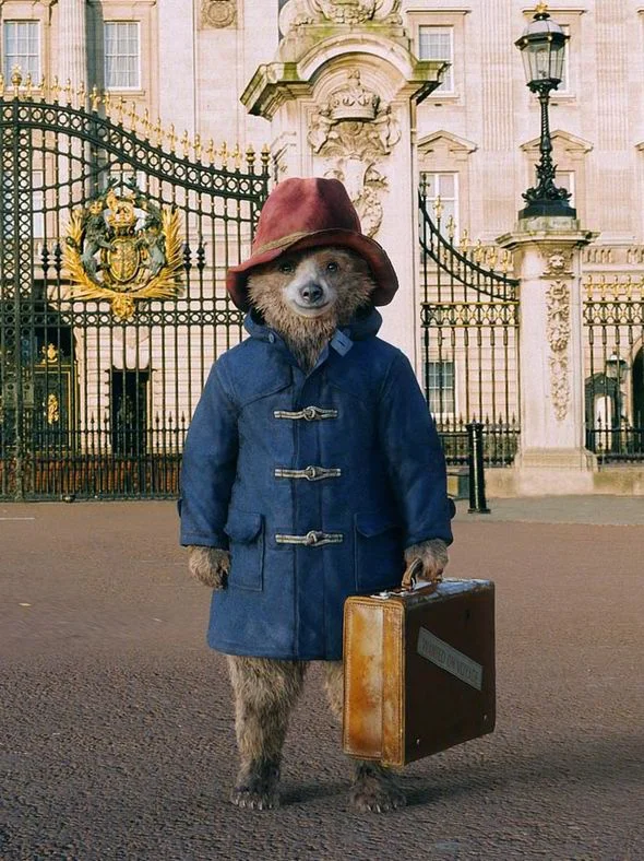 Paddington Bear