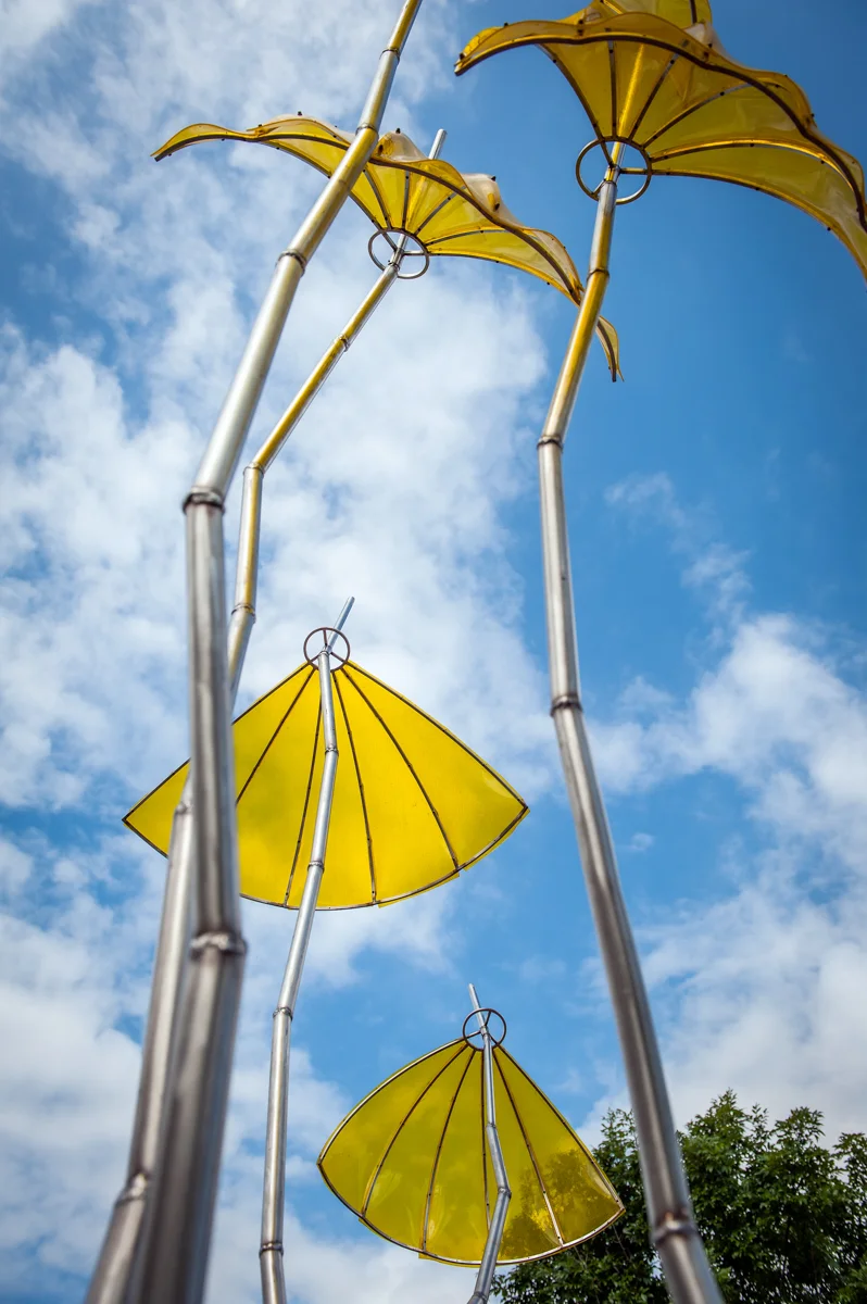 Symbiosis by Rick Herzog