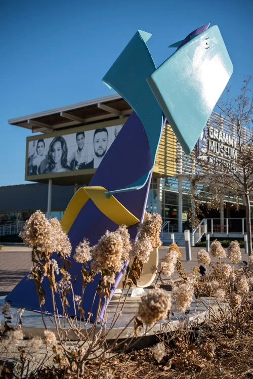 Learning Curve by Frederick Napoli