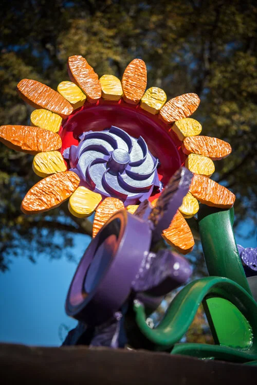 Sustainable Flower by George Tobolowsky