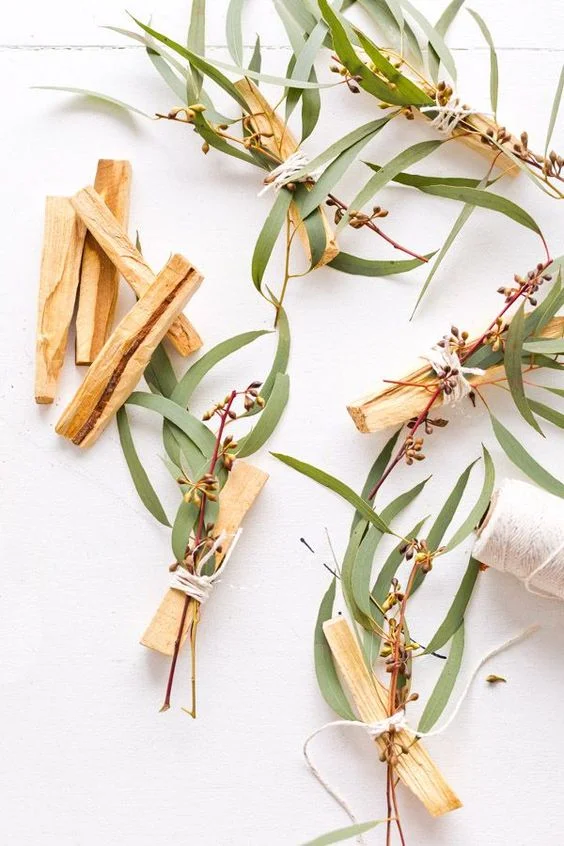 palo santo.jpg